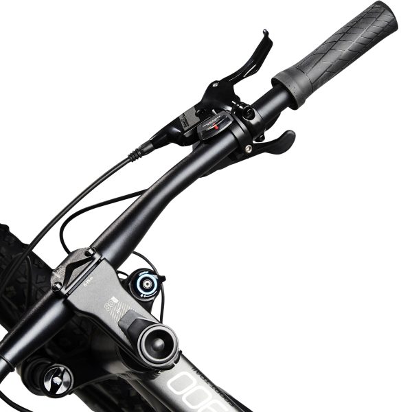 ROCKRIDER E-bike 900 - Image 3