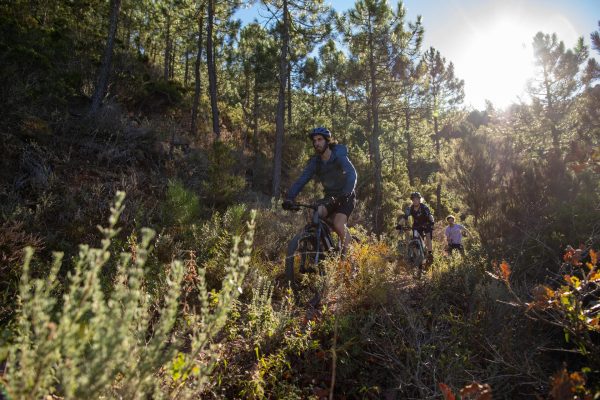 ROCKRIDER E-bike 900 - Image 13