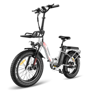 Fafrees F20 MAX 2023 Version 500W 20 klapprad e-bike Fat Bike Elektrofahrrad 22,5 Ah Samsung Akku 1