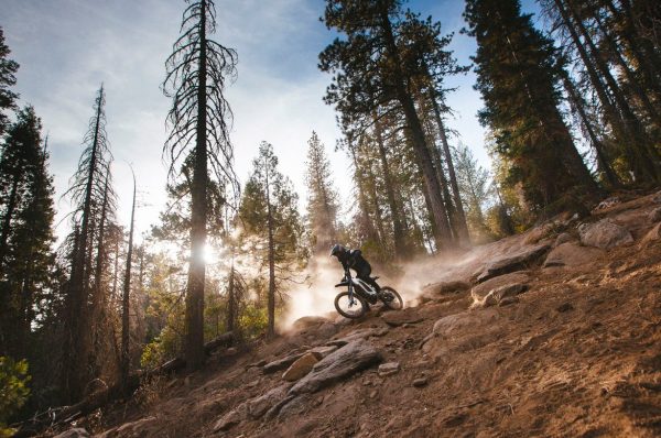 Segway Dirt eBike X260 - Image 2