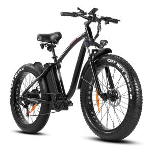 Clearance Sale Outdoor electric bike with 48V / 15Ah lithium battery