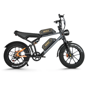 Vakole Q20 750W 20 Fat Bike E-Mountainbike Fully mit 20Ah*2 Dual Samsung Akkus E-MTB