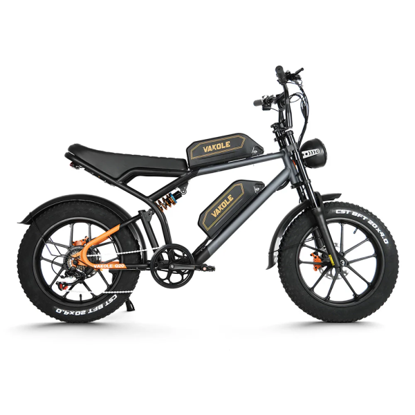 Vakole Q20 750W 20 Fat Bike E-Mountainbike Fully mit 20Ah*2 Dual Samsung Akkus E-MTB