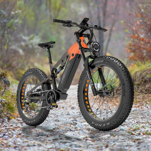 Visit RV800 Plus 750W Bafang Motor 26 Fat Bike Fully E-Mountainbike 20Ah Samsung Akku E-MTB